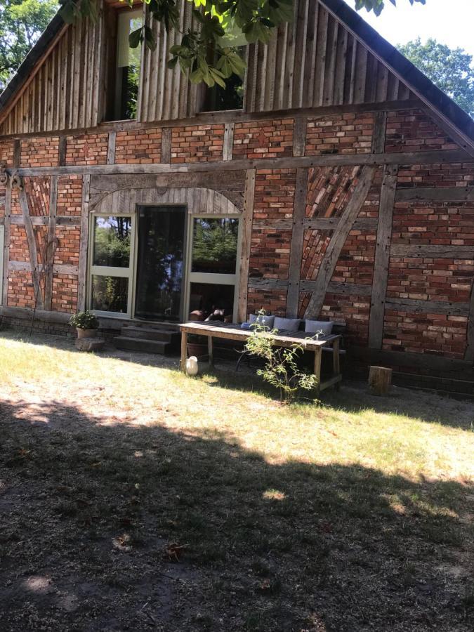 Gemuetliche Ferienwohnung An Der Elbe Bleckede Exterior photo